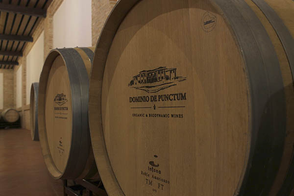 winery barrels dominio punctum